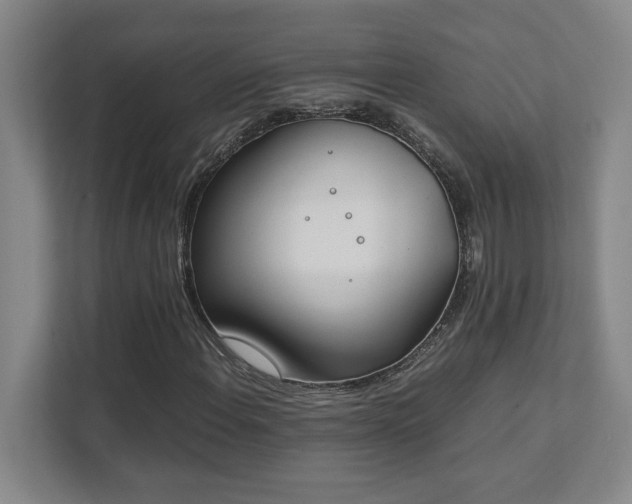 X0000111431108200907201103