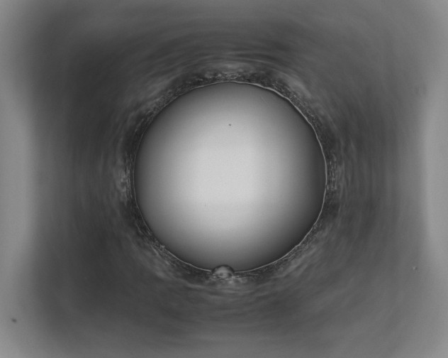 X0000111431109200907201103