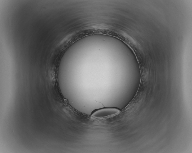 X0000111431110200907201103