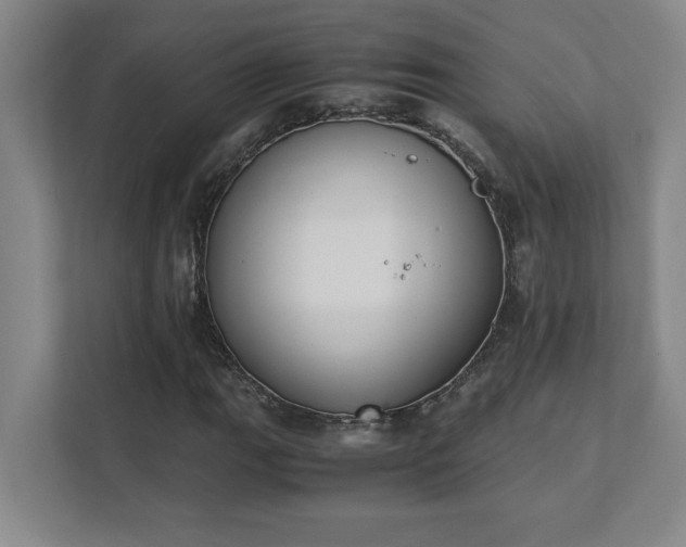 X0000111431111200907201103