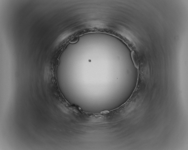 X0000111431112200907201103