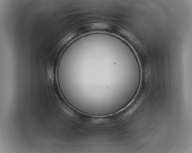 X0000111431113200907201103