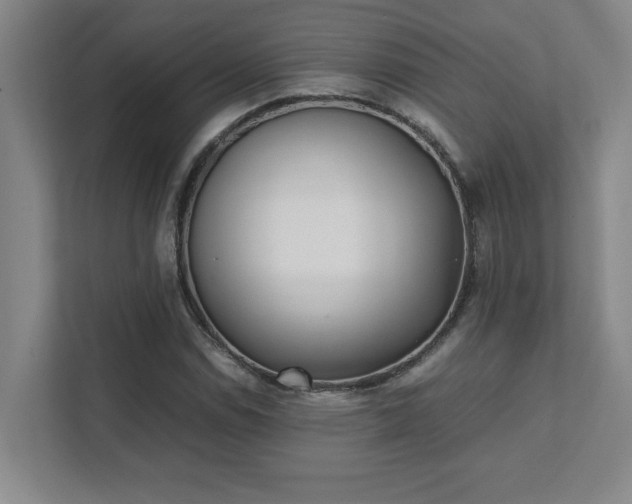 X0000111431114200907201103