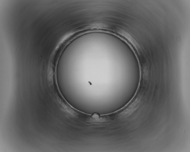 X0000111431115200907201103