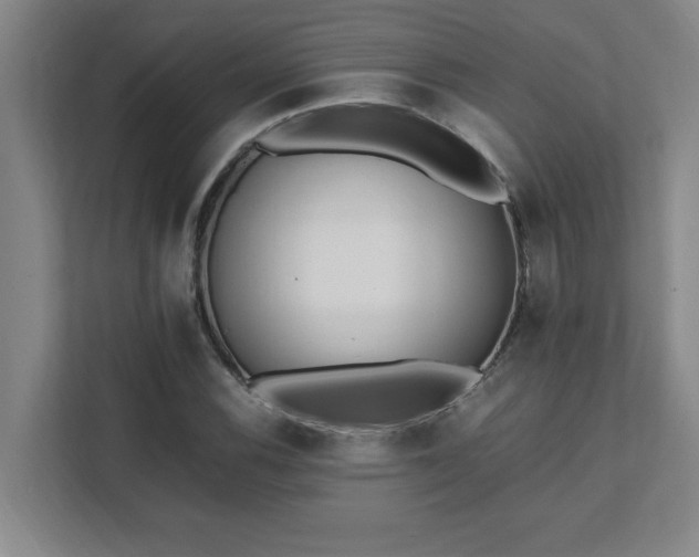 X0000111431116200907201103