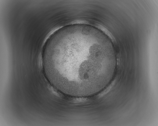 X0000111431117200907201103