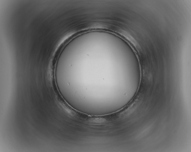 X0000111431119200907201103