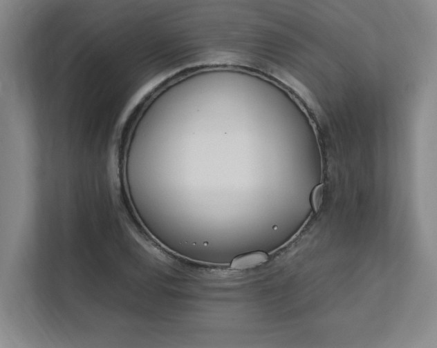 X0000111431120200907201103