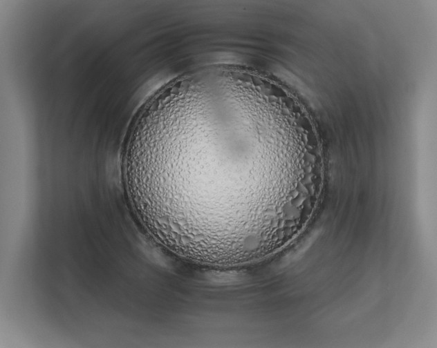 X0000111431121200907201103