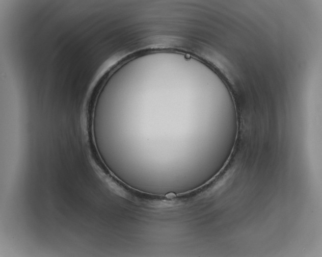 X0000111431122200907201103