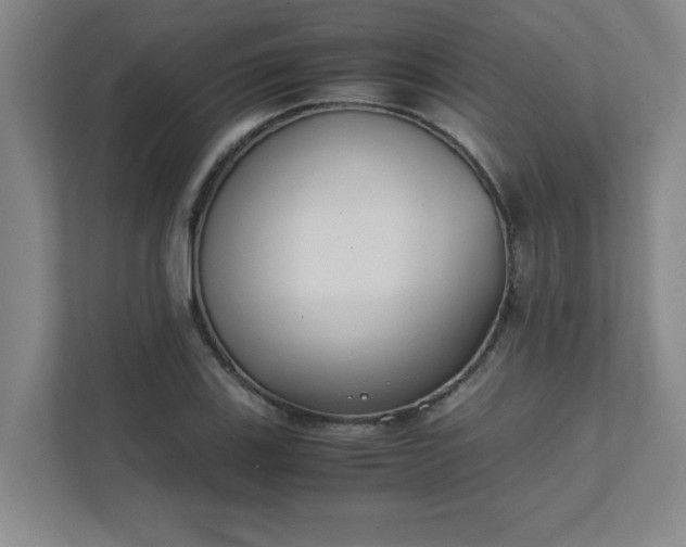 X0000111431123200907201103