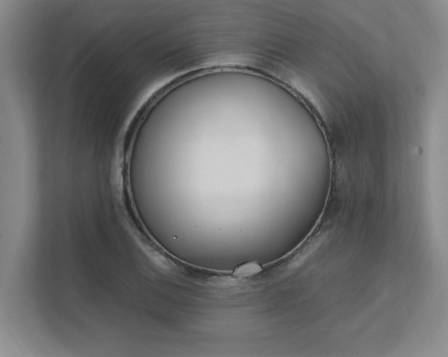 X0000111431124200907201103