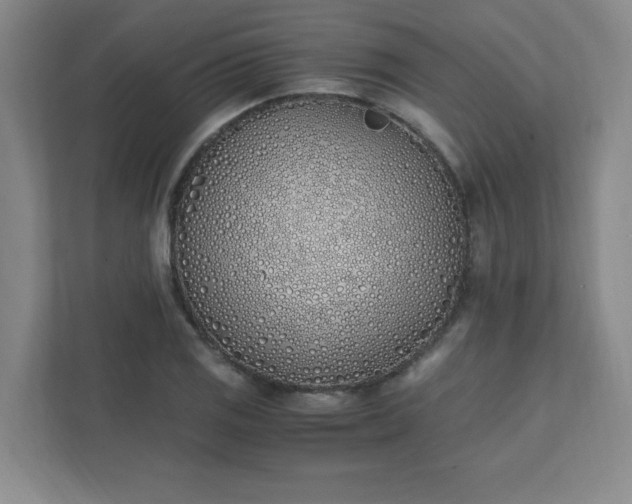 X0000111431125200907201103