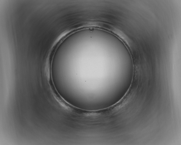 X0000111431127200907201103