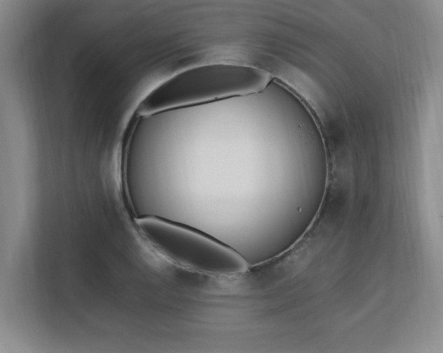 X0000111431128200907201103