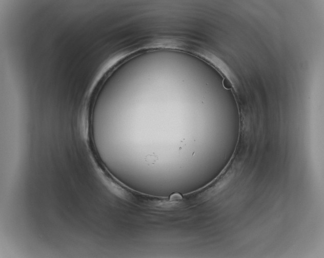 X0000111431131200907201103