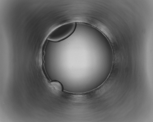 X0000111431132200907201103