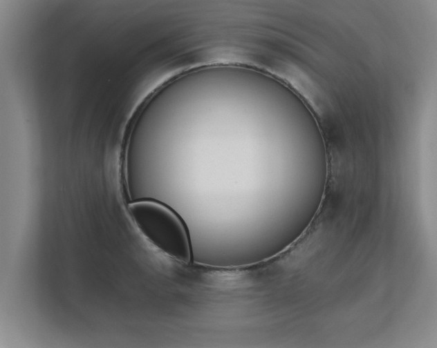 X0000111431134200907201103