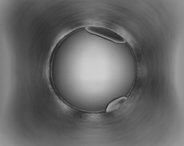 X0000111431136200907201103