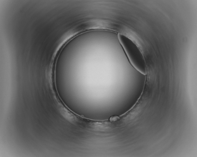 X0000111431138200907201103