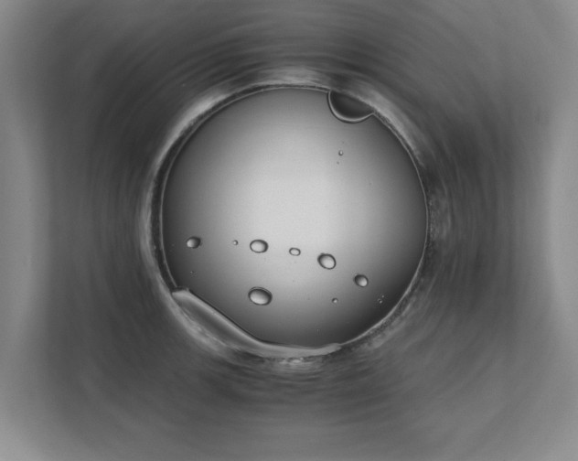 X0000111431139200907201103