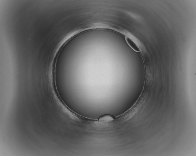 X0000111431142200907201103