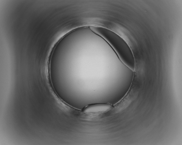 X0000111431144200907201103