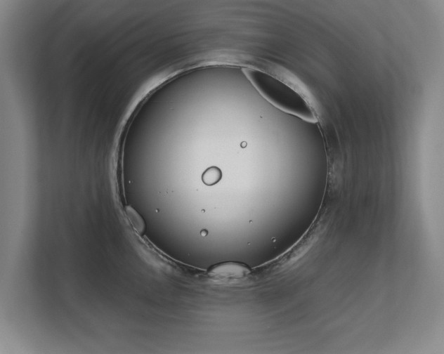 X0000111431146200907201103