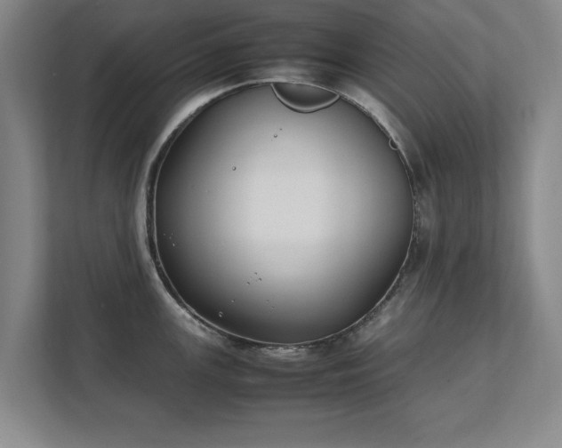 X0000111431147200907201103