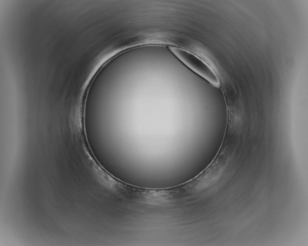 X0000111431148200907201103