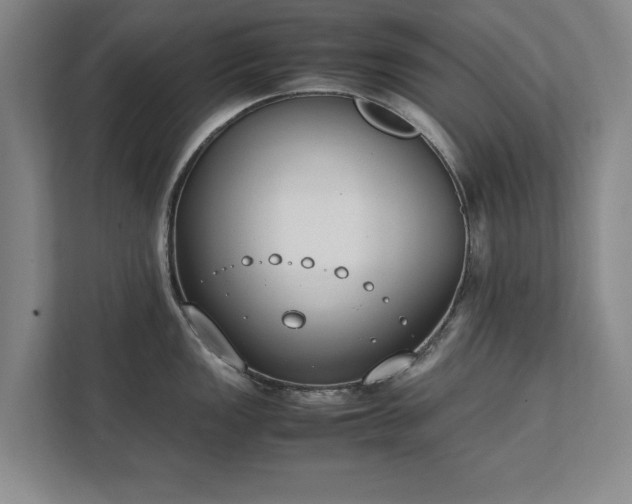 X0000111431149200907201103