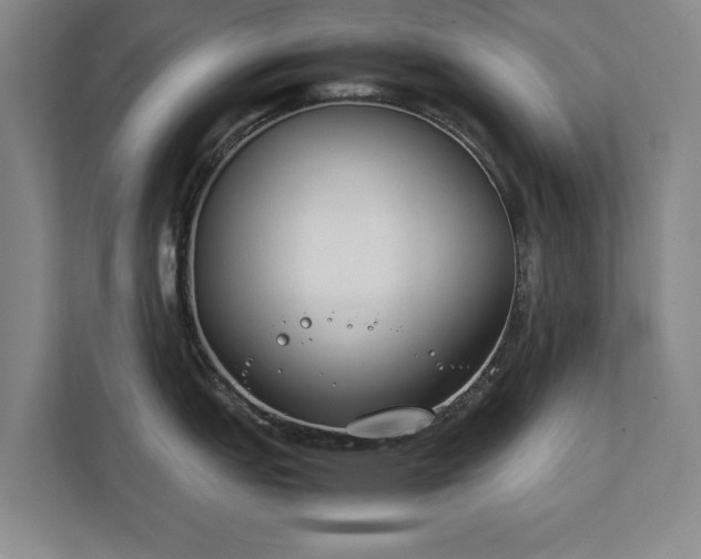 X0000111431151200907201103