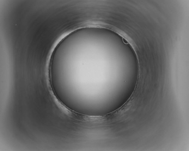 X0000111431152200907201103