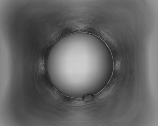 X0000111431156200907201103