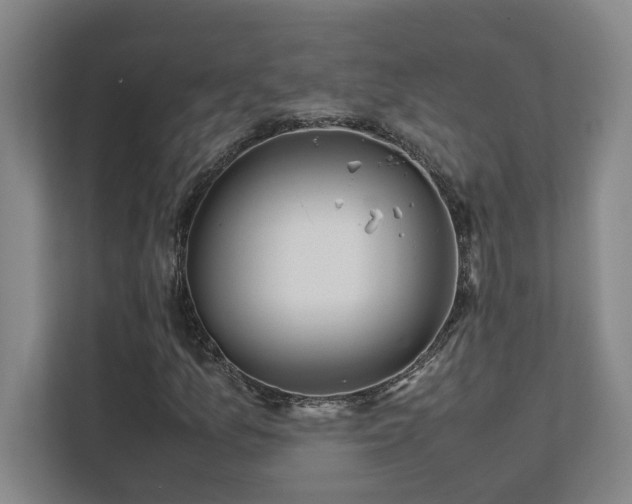 X0000111431157200907201102