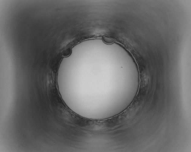 X0000111431158200907201102