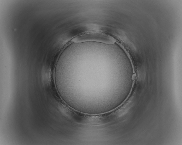 X0000111431161200907201102