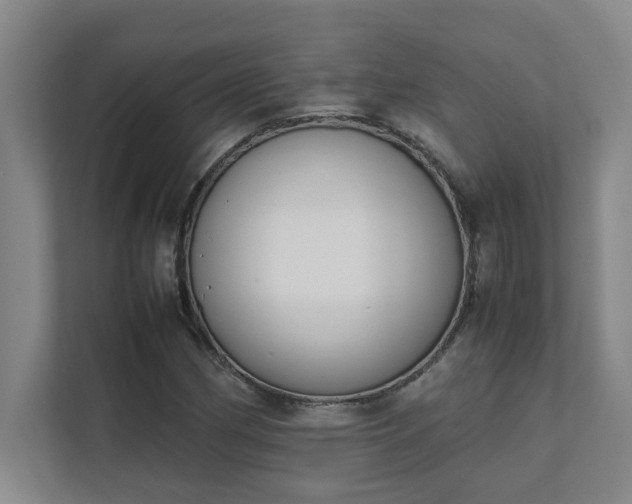 X0000111431162200907201102