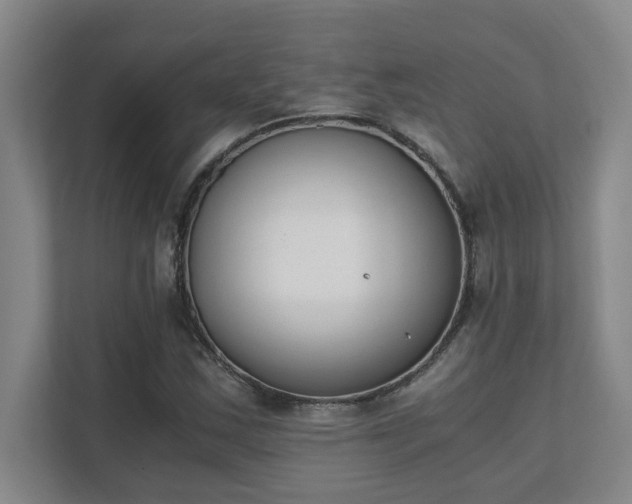 X0000111431163200907201102