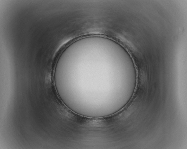 X0000111431166200907201102