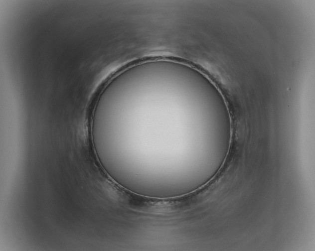 X0000111431167200907201102