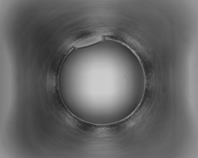 X0000111431169200907201102