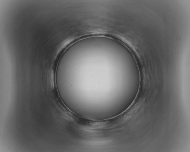 X0000111431171200907201102