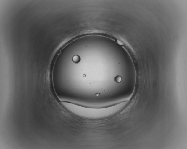 X0000111431173200907201102