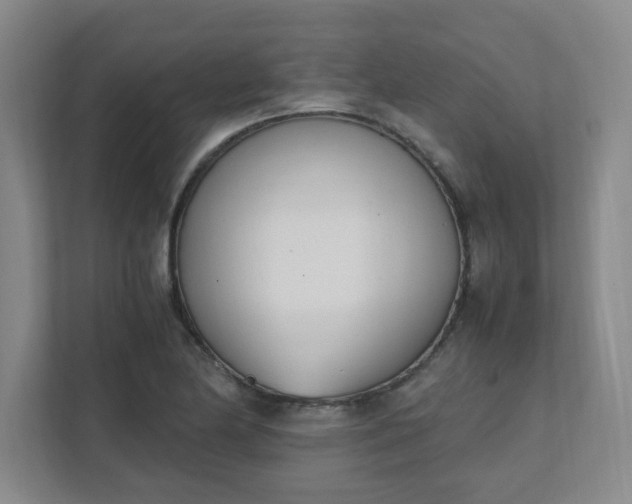 X0000111431174200907201102