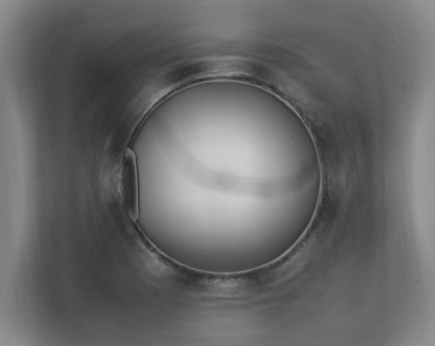 X0000111431177200907201102