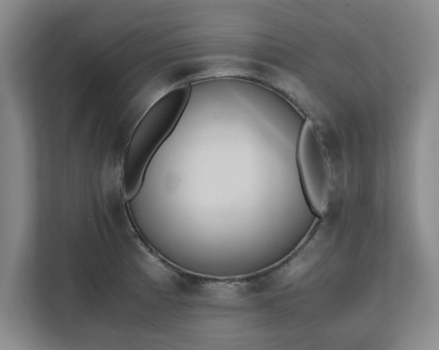 X0000111431185200907201102