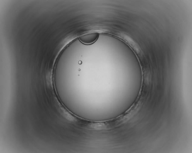 X0000111431186200907201102