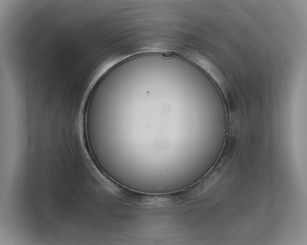 X0000111431187200907201102