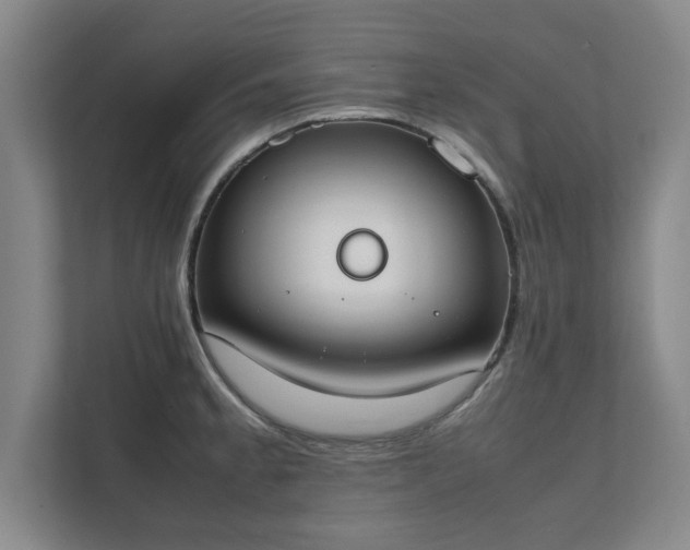 X0000111431189200907201102